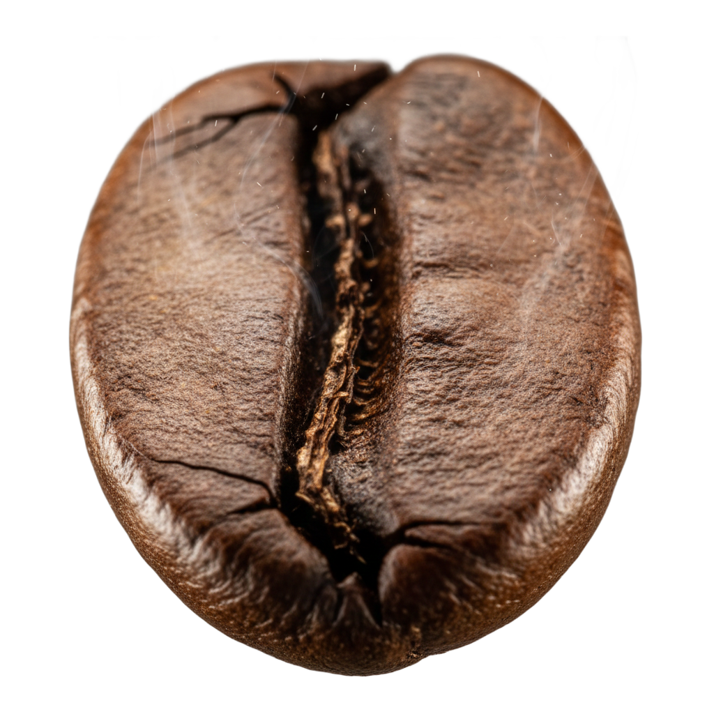 Udvælgelse og ristning